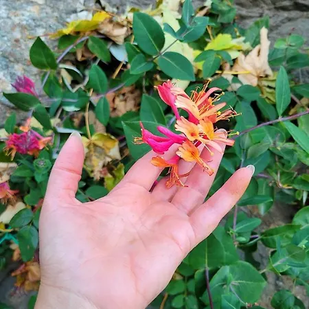 D'hotes Rue Saint Bernard 3*