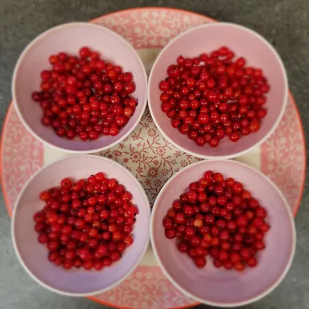 Gasthof D'hotes Rue Saint Bernard