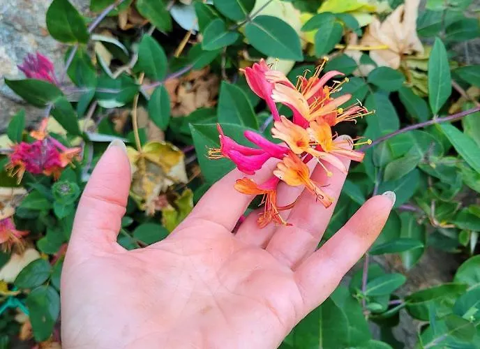 D'hotes Rue Saint Bernard 3*