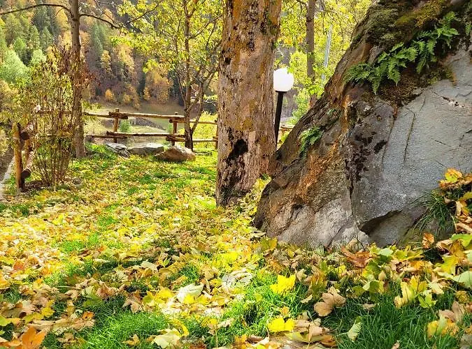 D'hotes Rue Saint Bernard Maison d'hôtes 3*